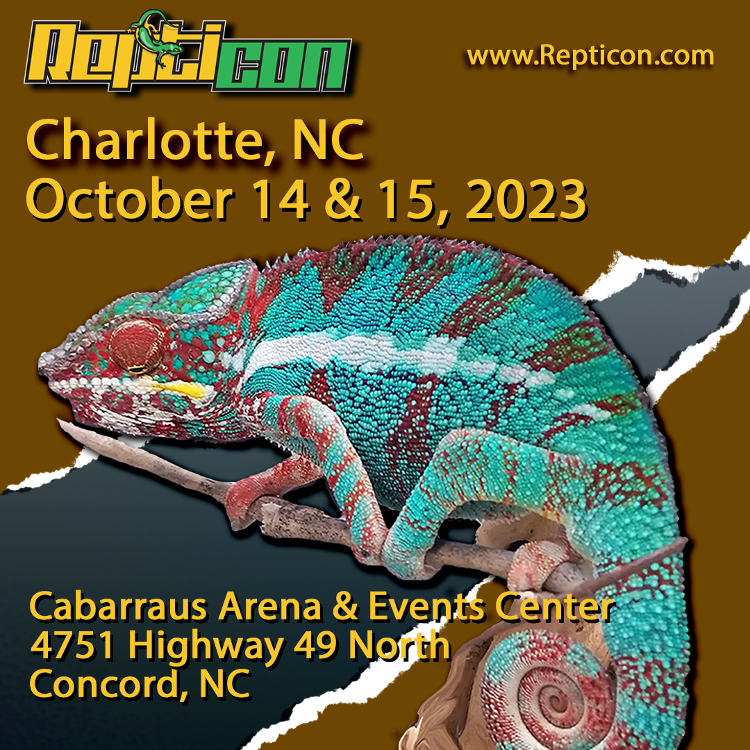 Charlotte |